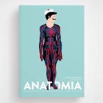 Anatomia